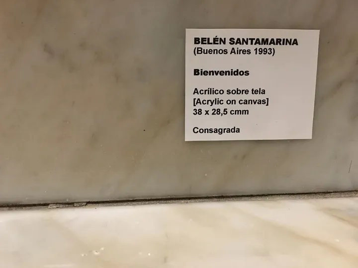 Consagrada, Intervención n#10 · Welcome (Bienvenidos)
Museo de Arte Latinoamericano de Buenos Aires MALBA, Buenos Aires, Argentina. 
Tela, pintura acrílica, papel.
Belen Santamarina
