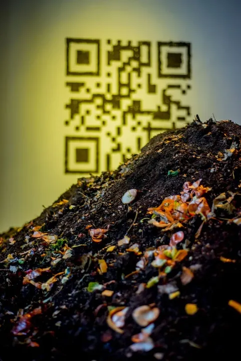 In the front: Mix, join, reset (site specific). In the back: QR code (site specific, soil) 2019. Triangular Collective | Ph. Martina Mordau