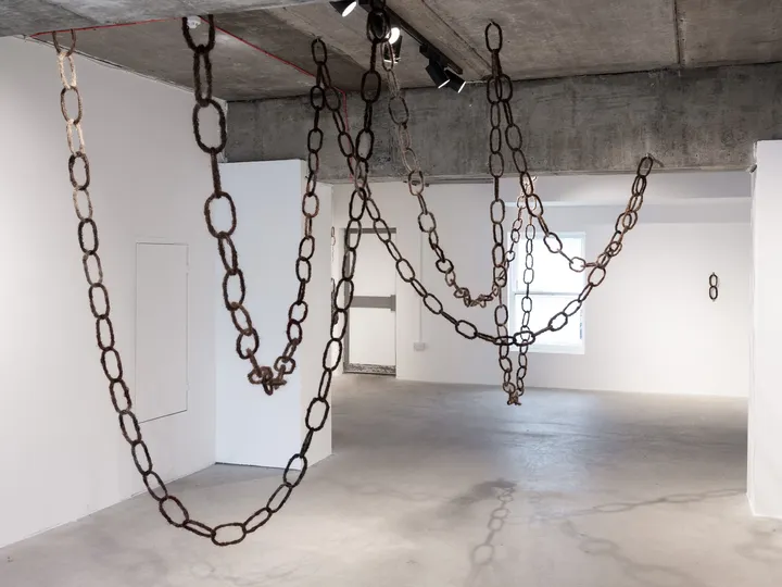 Entanglement, 2024
Installation
Human hair, metal
Variable dimensions
