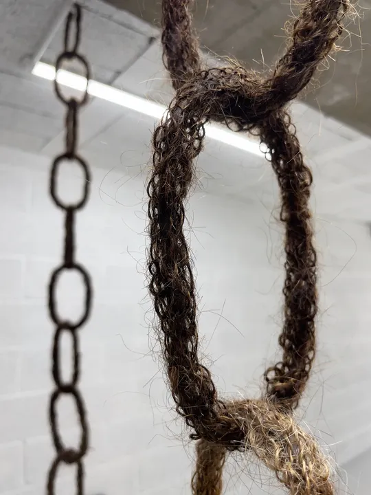 Entanglement, 2024
Installation,  variable dimensions. Human hair, metal wire.