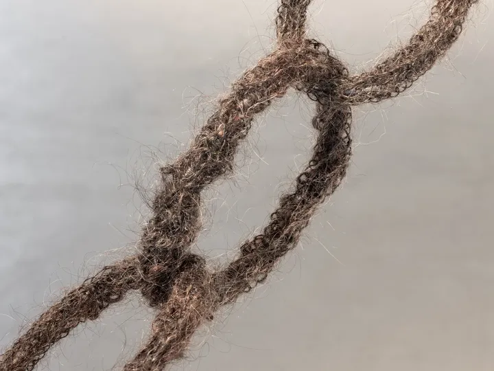 Entanglement, 2024
Installation
Human hair, metal
Variable dimensions