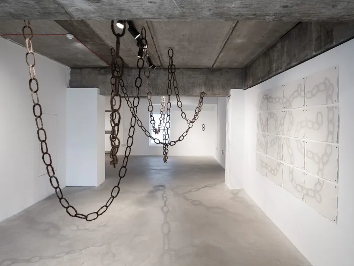 Entanglement, 2024
Installation
Human hair, metal
Variable dimensions