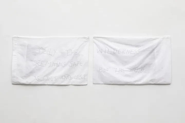 2020 - 2021
Migran-t: In dreams
Primark pillow covers embroidered with human hair. 
80 x 50 cm each, 153 x 50 cm Installation. 

Ph: Catalina Romero (@fotografiadeobra)