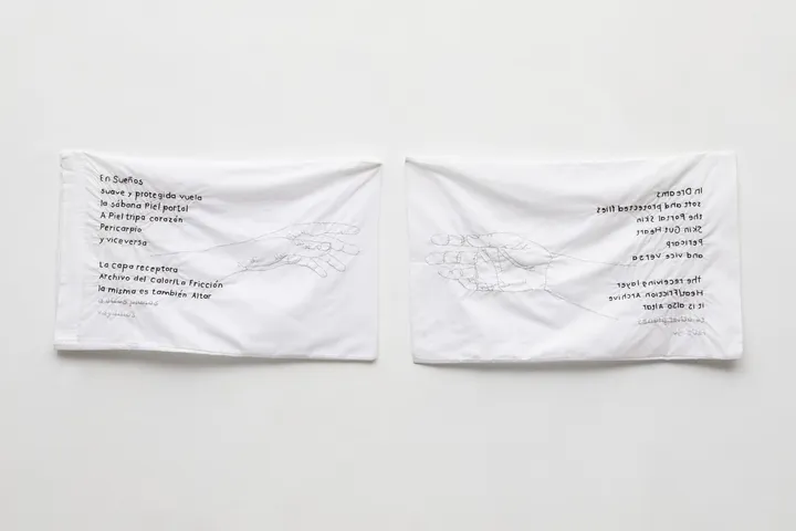 2020 - 2021
Migran-t: In dreams
Primark pillow covers embroidered with human hair. 
80 x 50 cm each, 153 x 50 cm Installation. 

Ph: Catalina Romero (@fotografiadeobra)