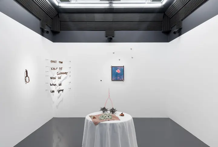 Interlaced Encounters, an exhibition featuring the work of PACA 2024 residents Emily Colipí (b. Coventry); Belén Santamarina (b. Buenos Aires); Sol Santana (b. Sao Paulo); and Constanza Pulit (b. Buenos Aires). Curated by: Federika Chaimowicz and Pilar Seivane