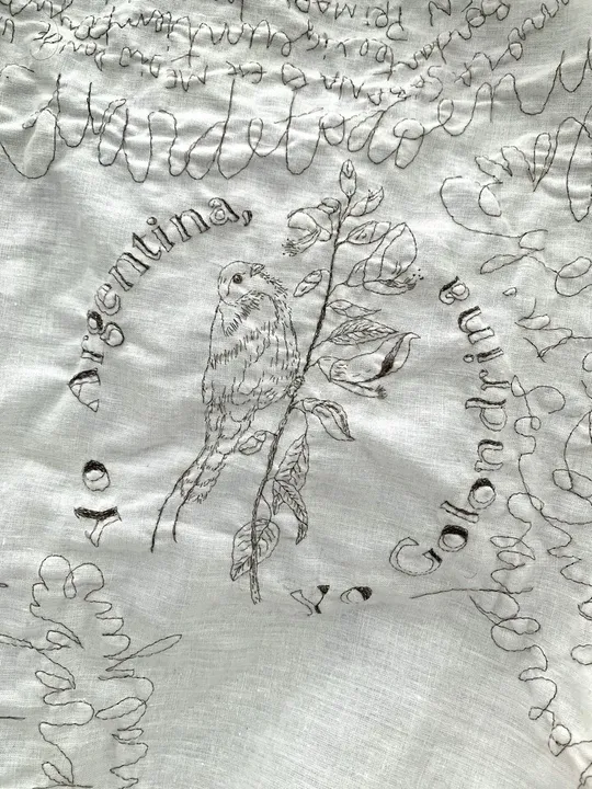 Detalle de la sábana bordada con pelo humano. Perteneciente a la obra Migran-t, el bordado muestra una golondrina sobre una rama de Ceibo con la leyenda "Yo Argentina, yo golondrina". 