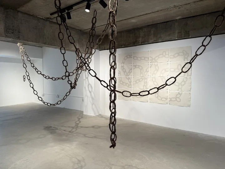 Entanglement, 2024
Installation,  variable dimensions. Human hair, metal wire.