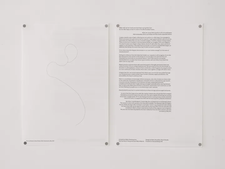 Roots and Bonds, 2025 at KOPPEL Collective