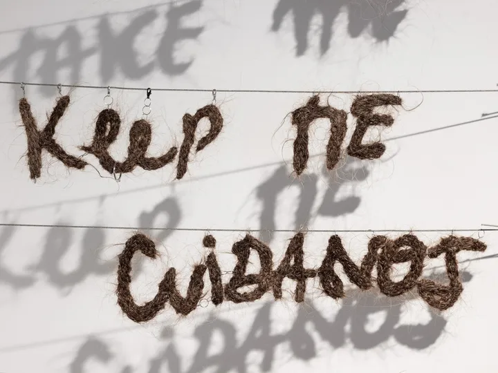 Take me, 2024
Poem installation
Human hair, metal 
102 x 90 cm ~ 40 x 35 in