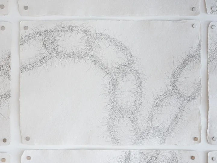 Series of drawings
Graphite on handmade recycled cotton paper
38x56cm ~ 15x22in