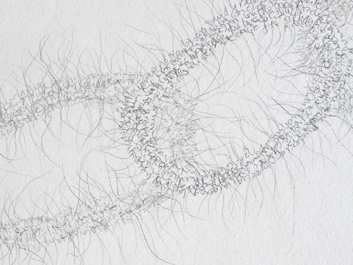 Series of drawings
Graphite on handmade recycled cotton paper
38x56cm ~ 15x22in