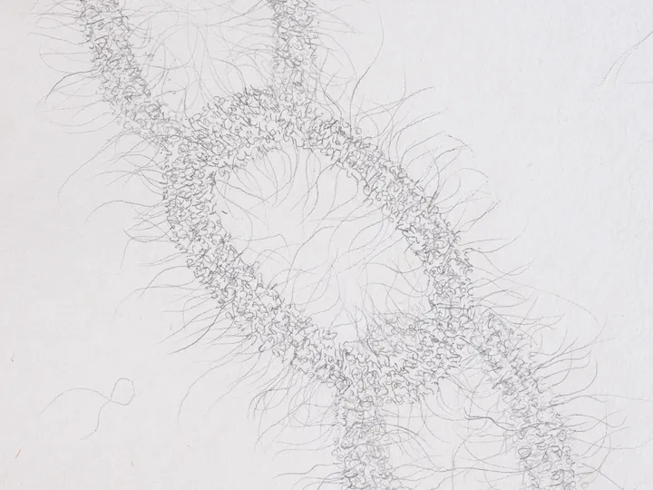 Series of drawings
Graphite on handmade recycled cotton paper
38x56cm ~ 15x22in